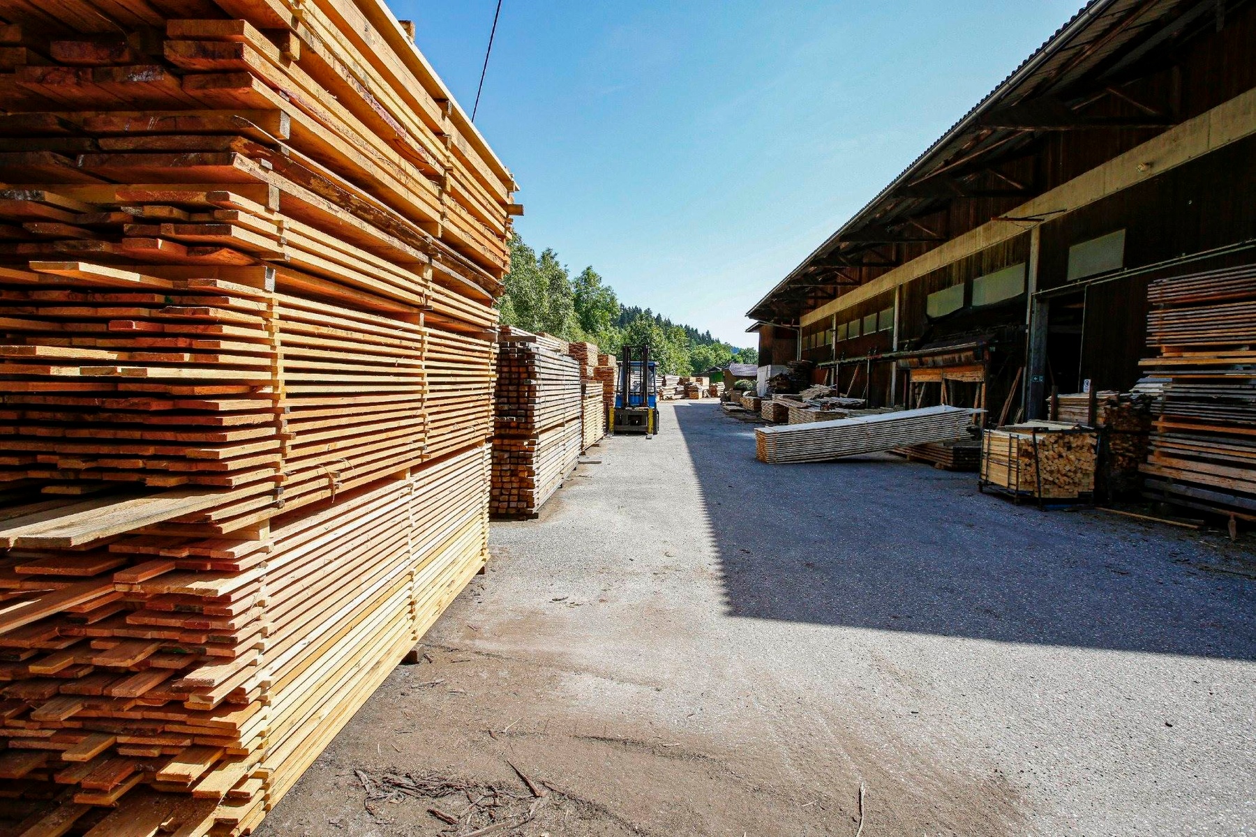 professionelle Holzverarbeitung im Sägewerk der Temiholz GmbH