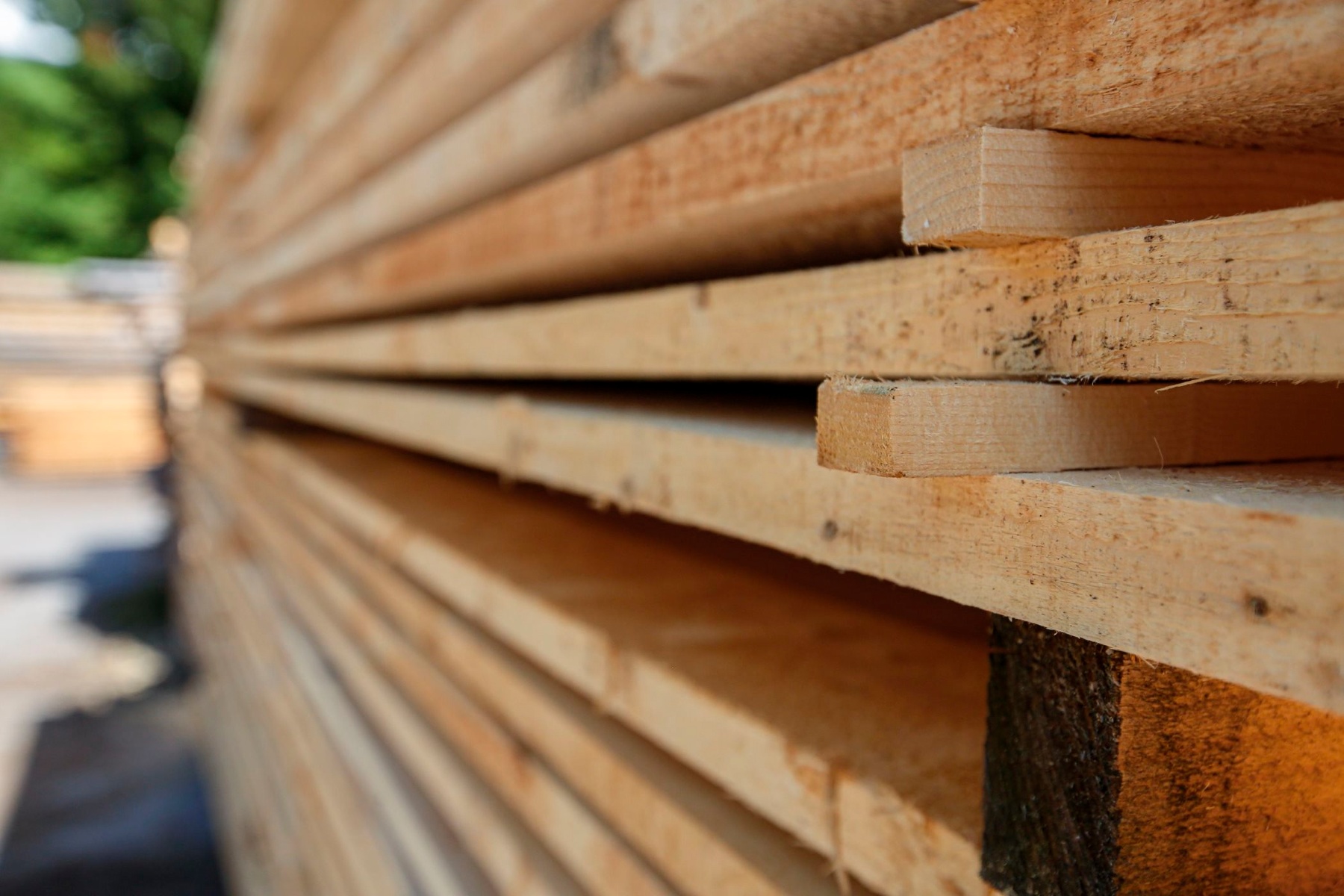 professionelle Holzverarbeitung im Sägewerk der Temiholz GmbH