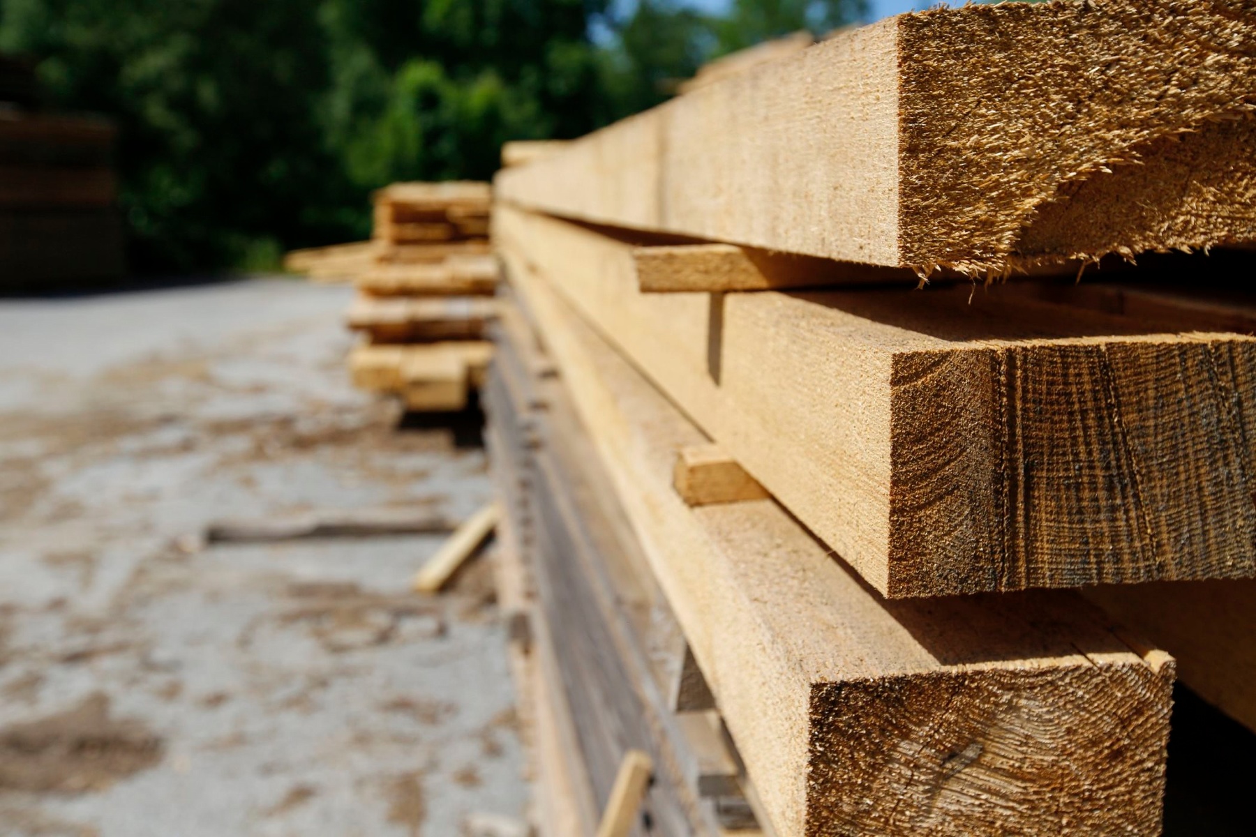 professionelle Holzverarbeitung im Sägewerk der Temiholz GmbH