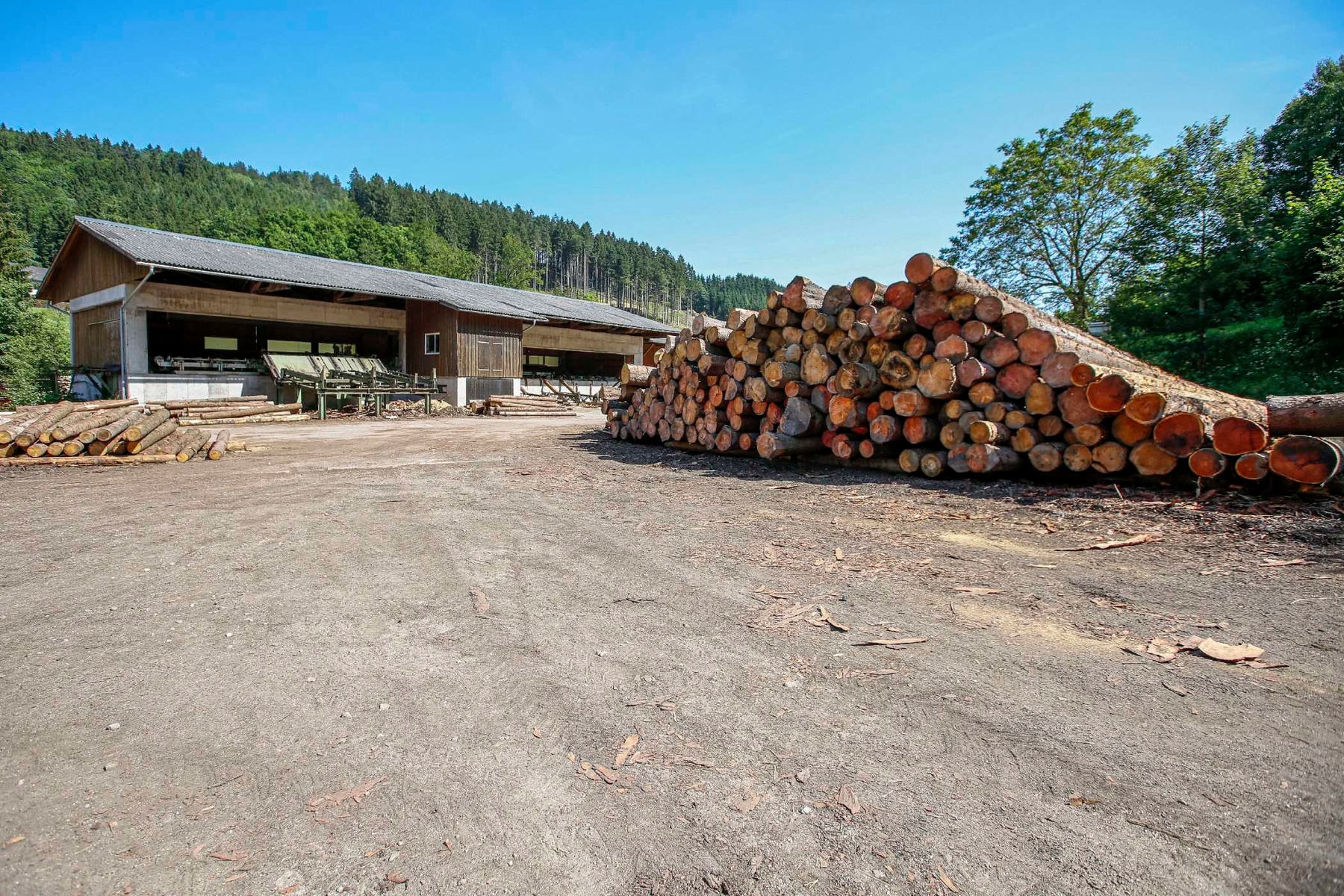 professionelle Holzverarbeitung im Sägewerk der Temiholz GmbH