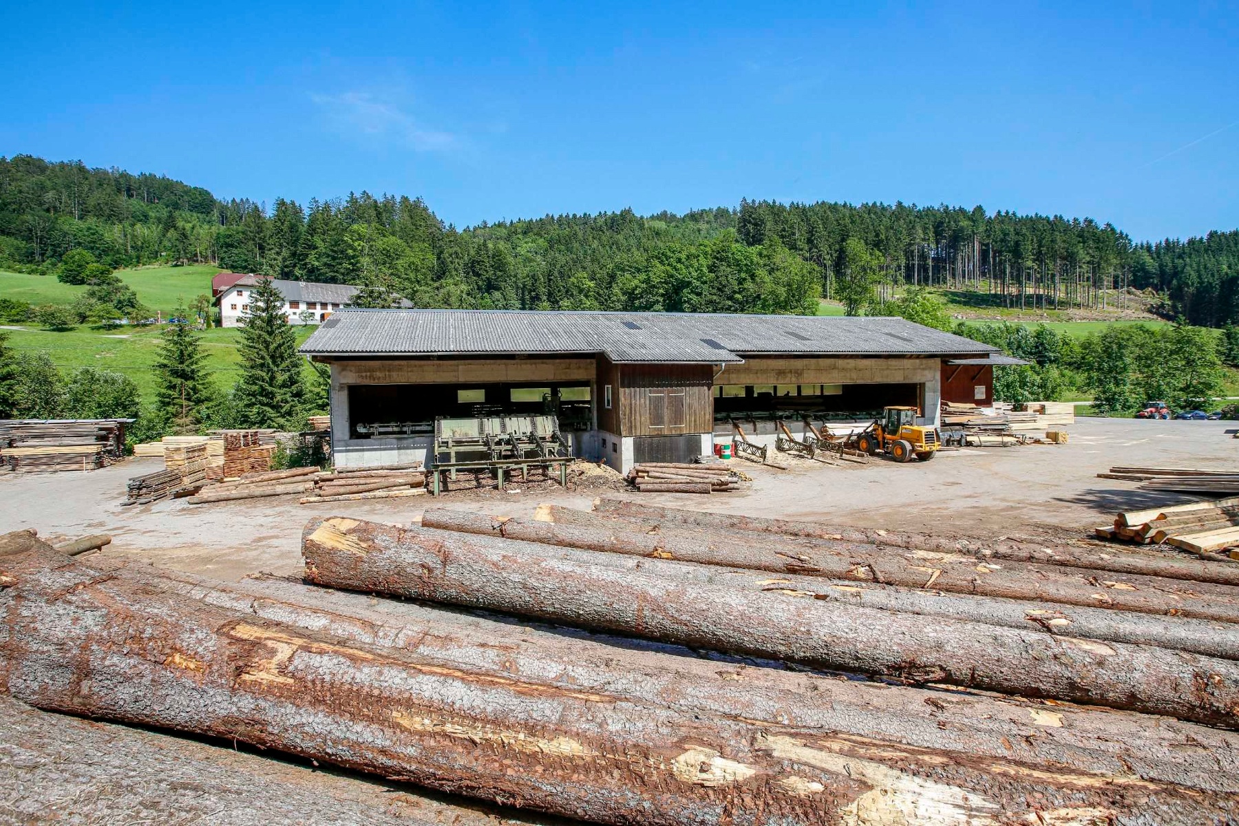 professionelle Holzverarbeitung im Sägewerk der Temiholz GmbH