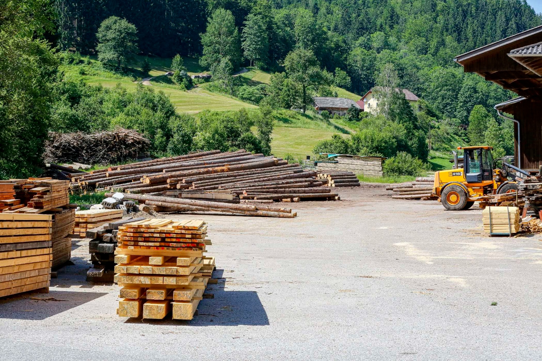 professionelle Holzverarbeitung im Sägewerk der Temiholz GmbH